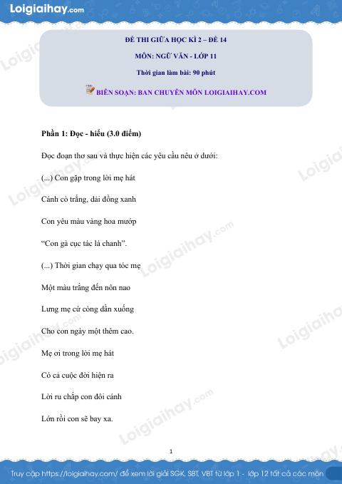 Đề kiểm tra giữa học kì II Ngữ văn 11 - Đề số 14 có lời giải chi tiết